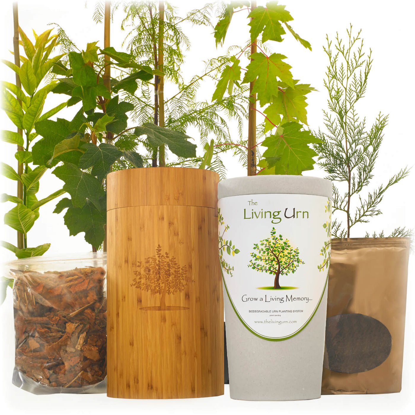 Living Urn System Only (use with your own tree, plant or flowers) - Weddle
